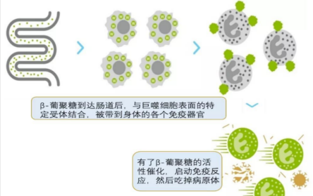 67385a0e8b3ee.png image.png