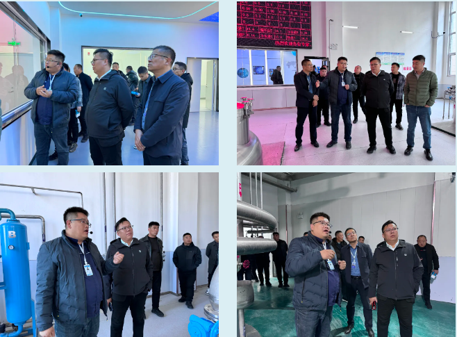 674d1299a3cd8.png 1733104274168.png