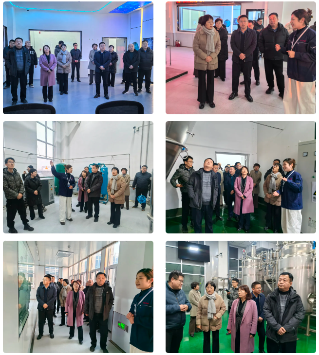 6778900955a7b.png 1735954437692.png